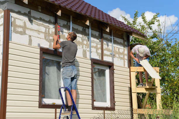 Best Brick Veneer Siding  in Laguna Beach, FL